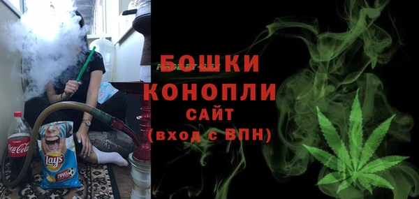 твердый Мегион