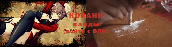 твердый Мегион