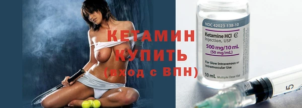 твердый Мегион