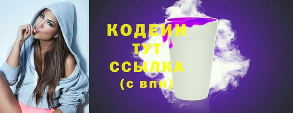 твердый Мегион