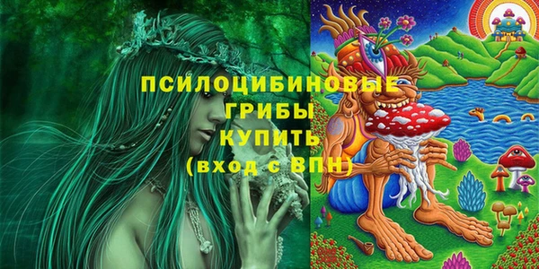 гидра Медвежьегорск