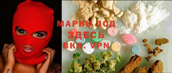 гидра Медвежьегорск