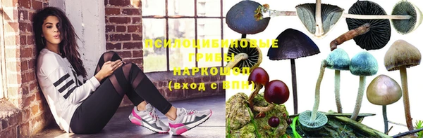 хмурый Михайловск