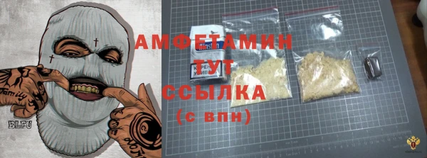 твердый Мегион