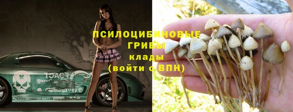 твердый Мегион