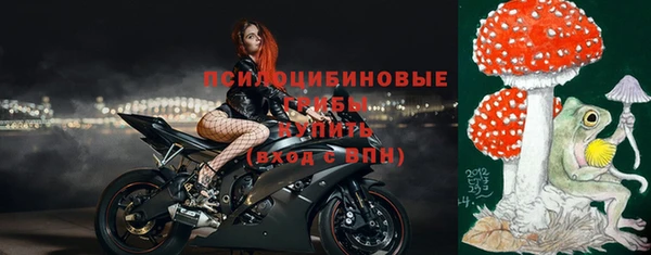 твердый Мегион