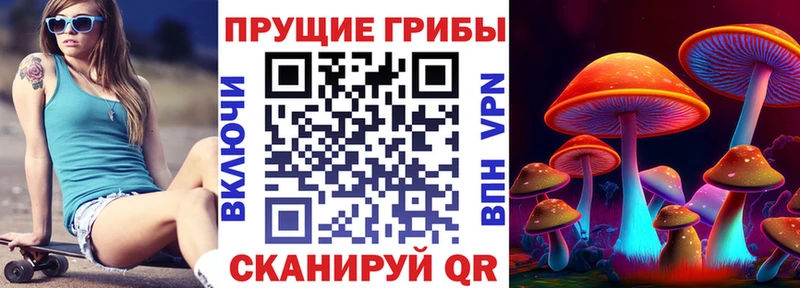 Галлюциногенные грибы Psilocybine cubensis Духовщина